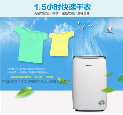 格力DH20EF 觸控除濕新體驗，20升大容量守護干爽生活